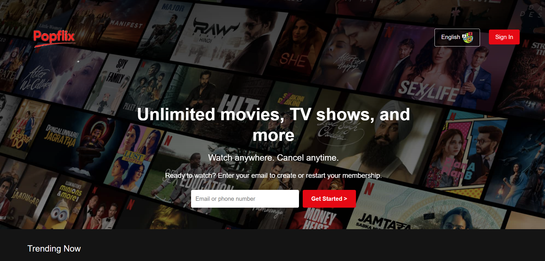 Animated Website
